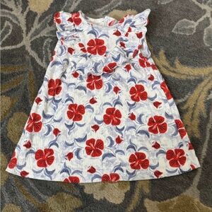 6-12 Month Baby Girl Summer Dress Bundle